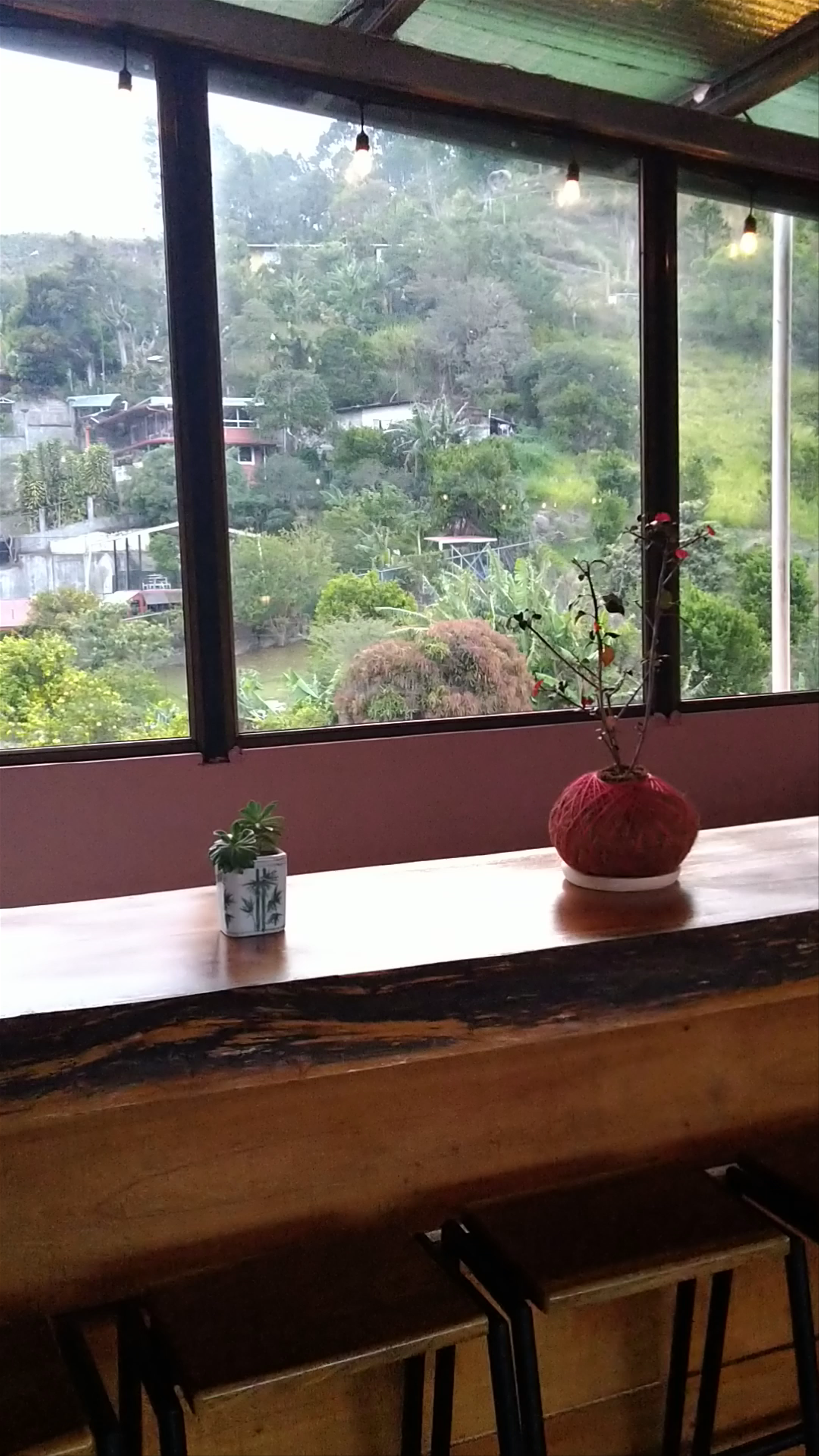 Hotel Buena Vista Boquete