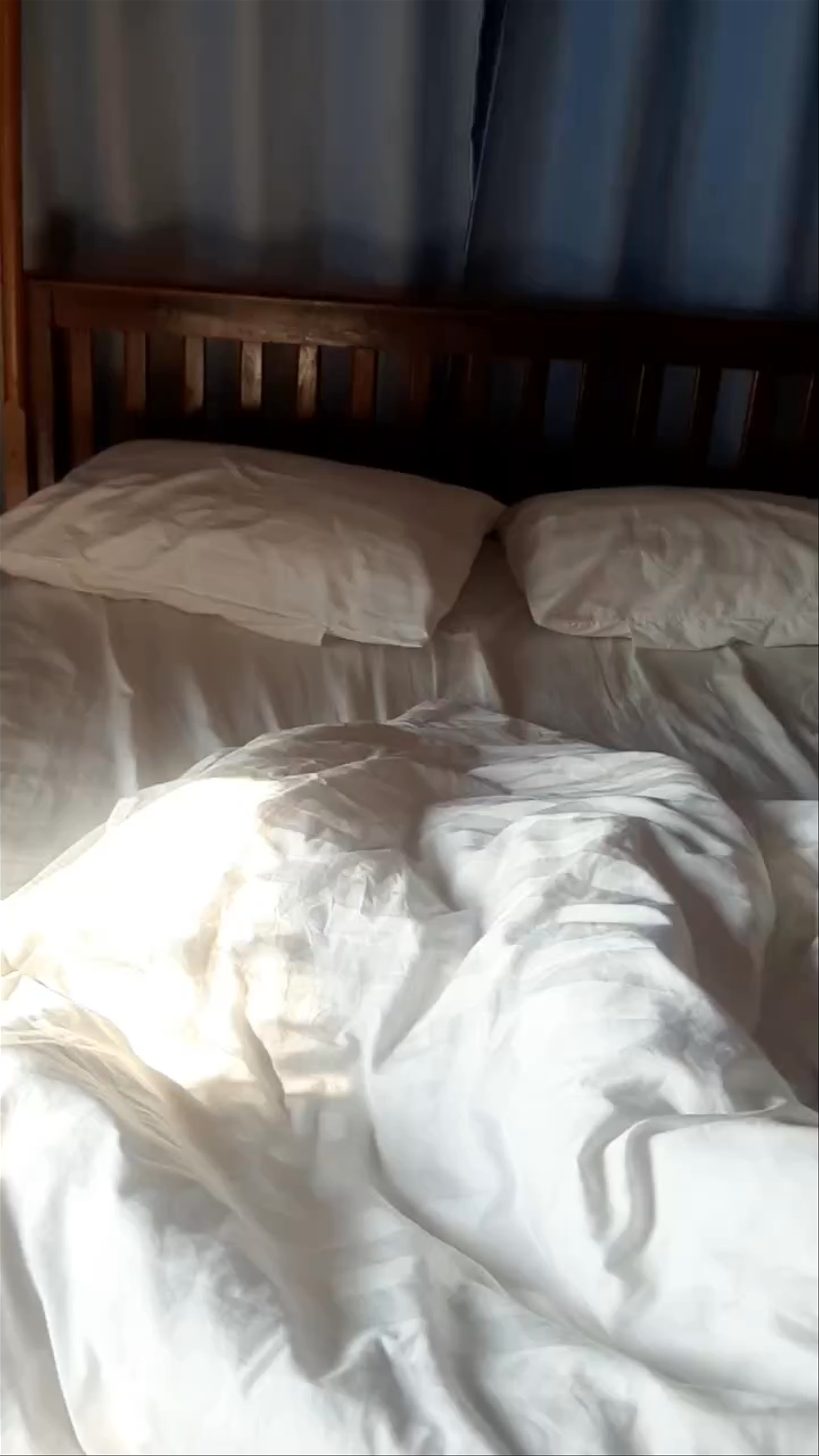 Tree House Bungalows