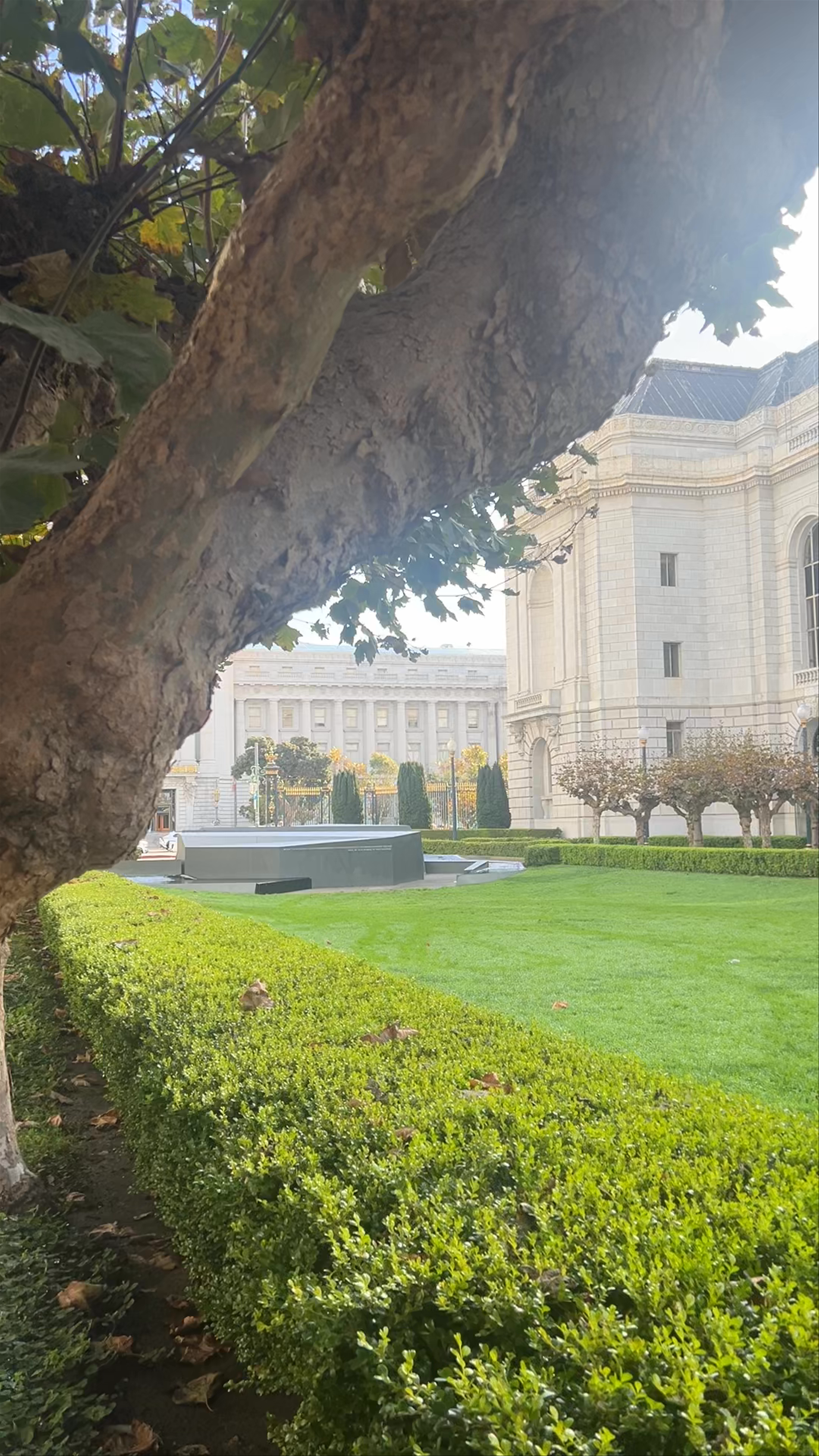 San Francisco Veterans Memorial: A Quiet Tribute in Urban Splendor