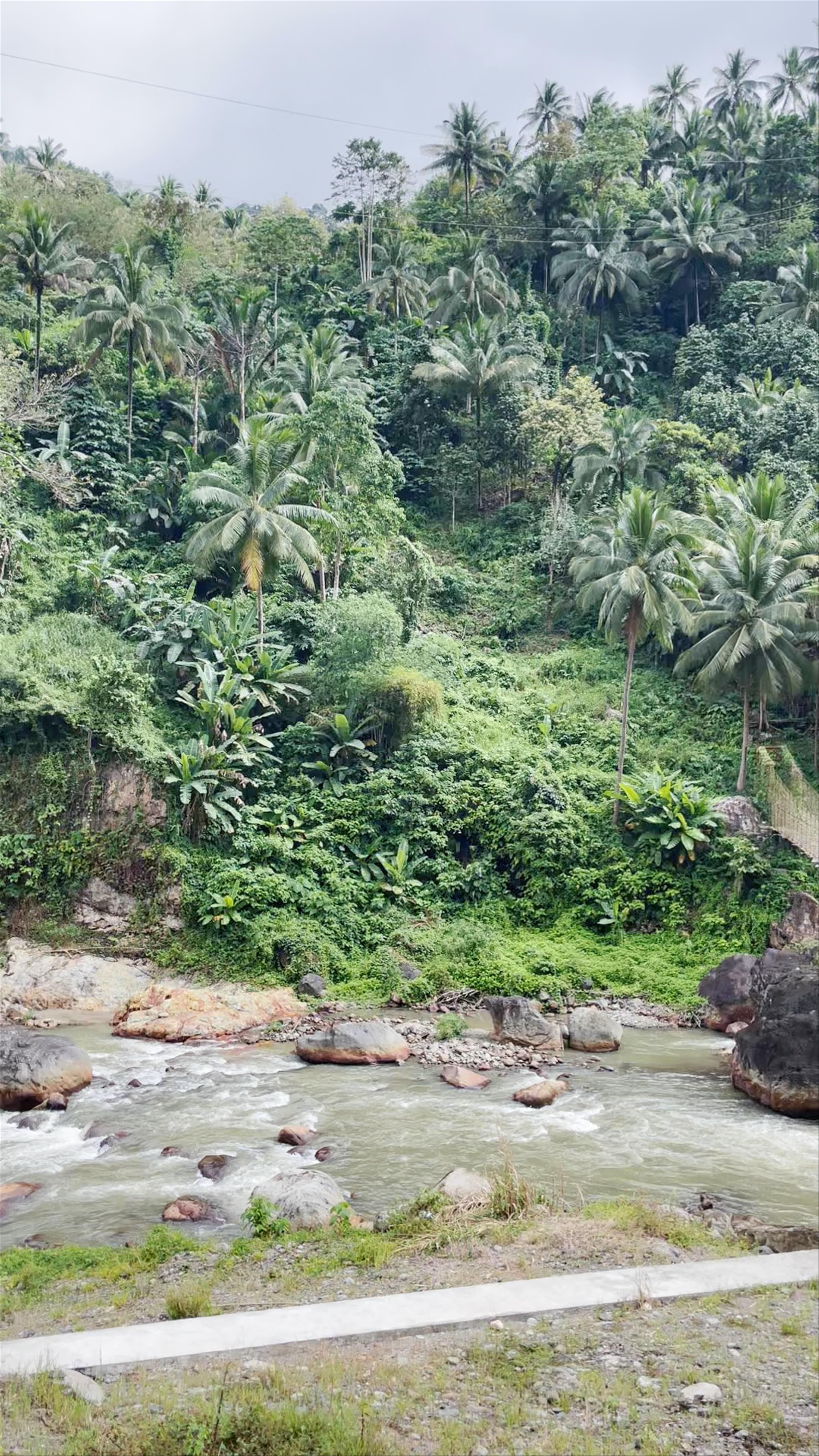 Sitio Badiang Bridge