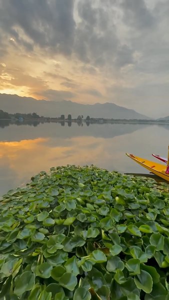 Photo of Jannat-e-Kashmir ♥️