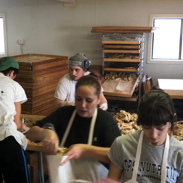 Sam's Bakery - Busy - Bakeries Near Me - Fall River, Massachusetts