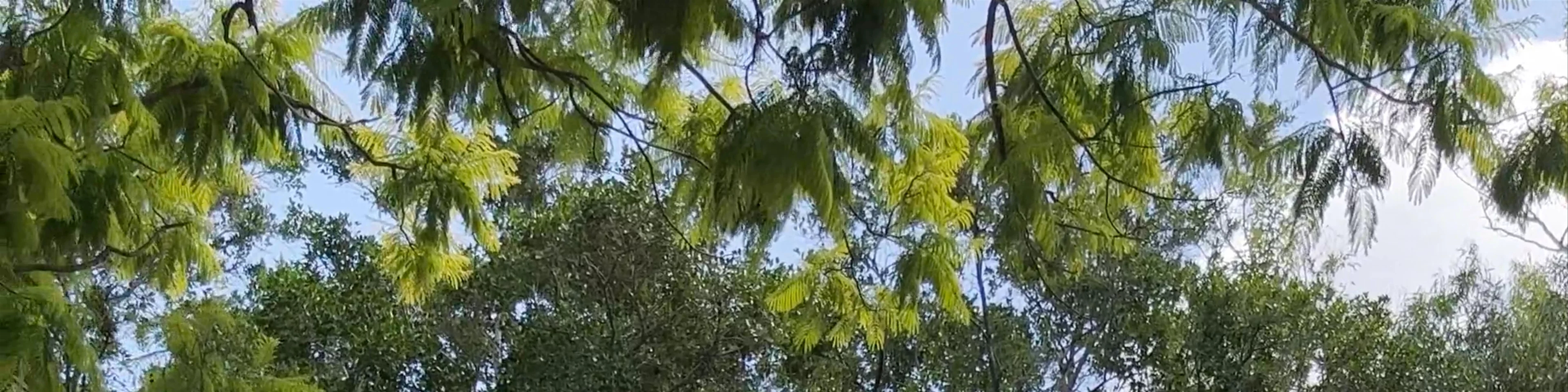 Upper Barrakka Gardens