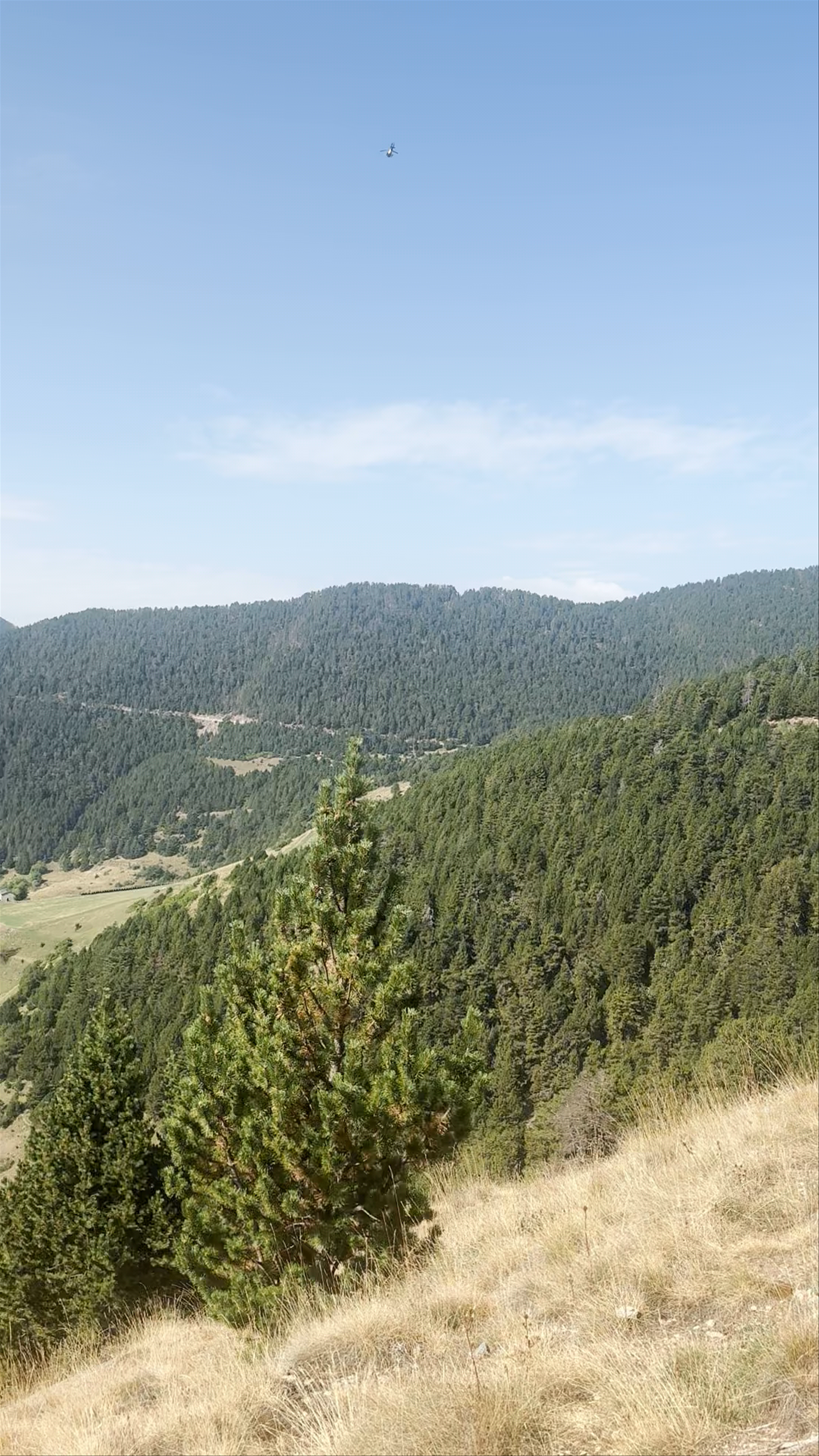 Mirador del Roc del Quer | Canillo