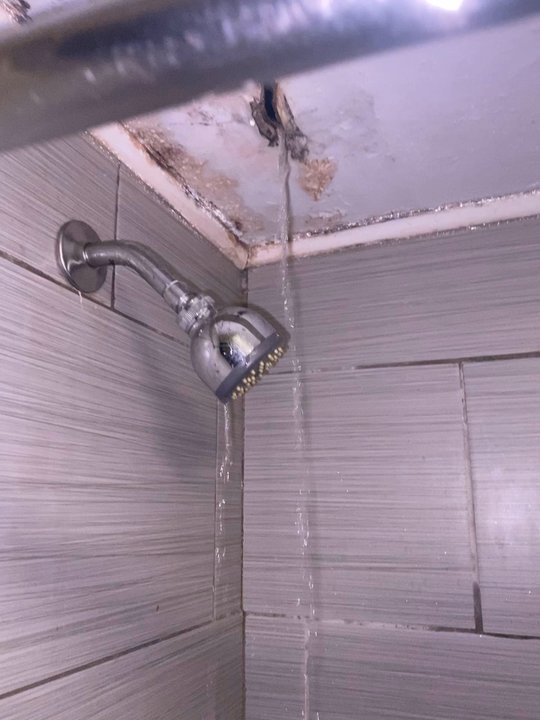 Econo Lodge - Water pours out of the ceiling mold everywhere crackheads everywhere terrible terrible - Hotels Near Me - Gallatin, Tennessee