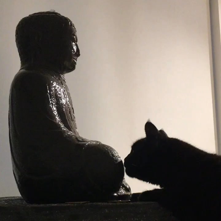 Aum & Garden - Beautiful Buddha fountain I purchased at Aum & Garden! Worth every penny!!! - Spiritual Shop Near Me - Sherman Oaks, California