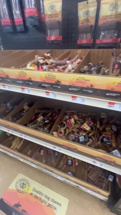 PET SUPPLIES PLUS WEST SPRINGFIELD - Updated May 2026 - 67 Photos & 25 ...