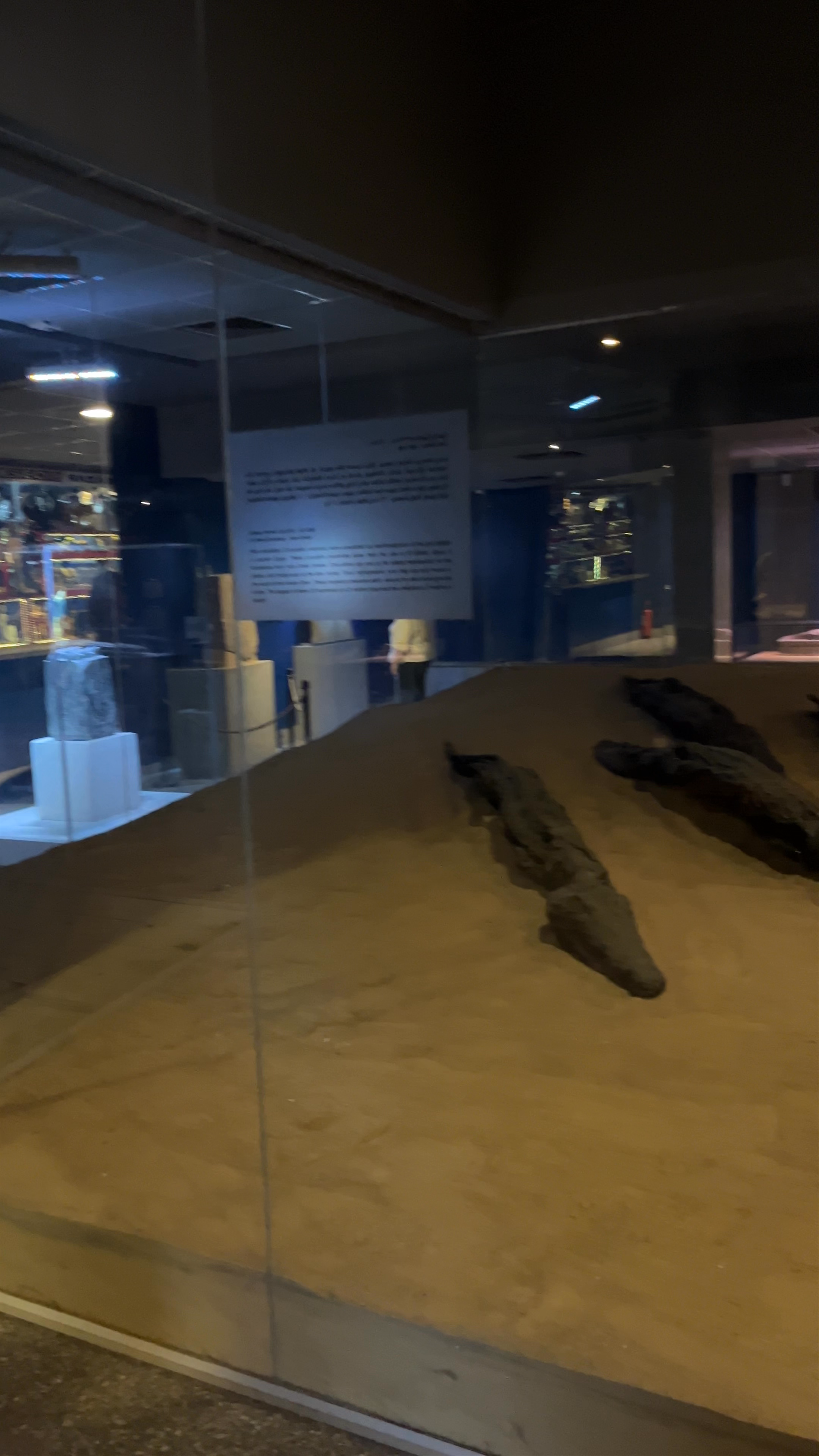 Crocodile Museum