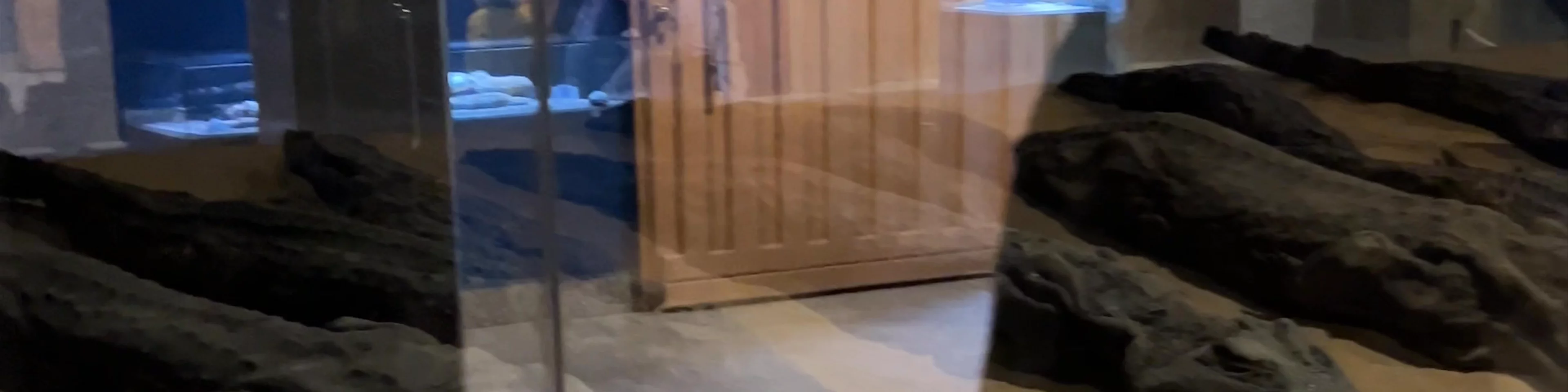 Crocodile Museum