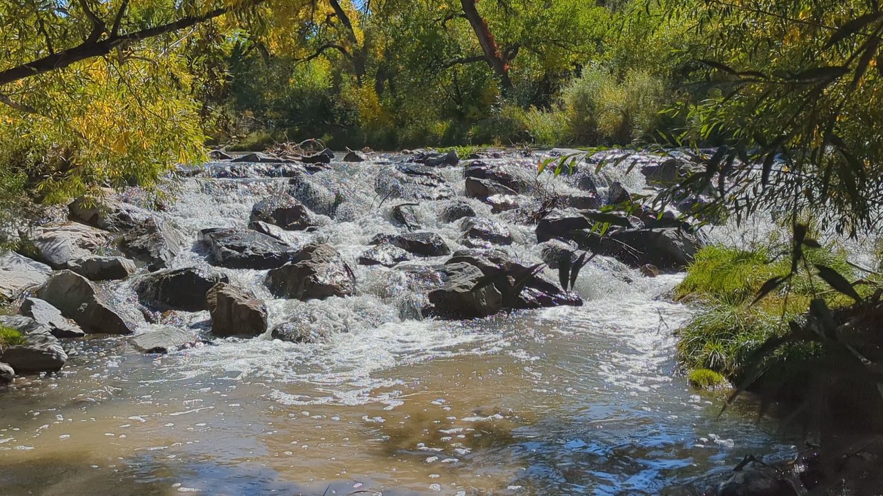Garland Park - Parks Near Me - Denver, Colorado