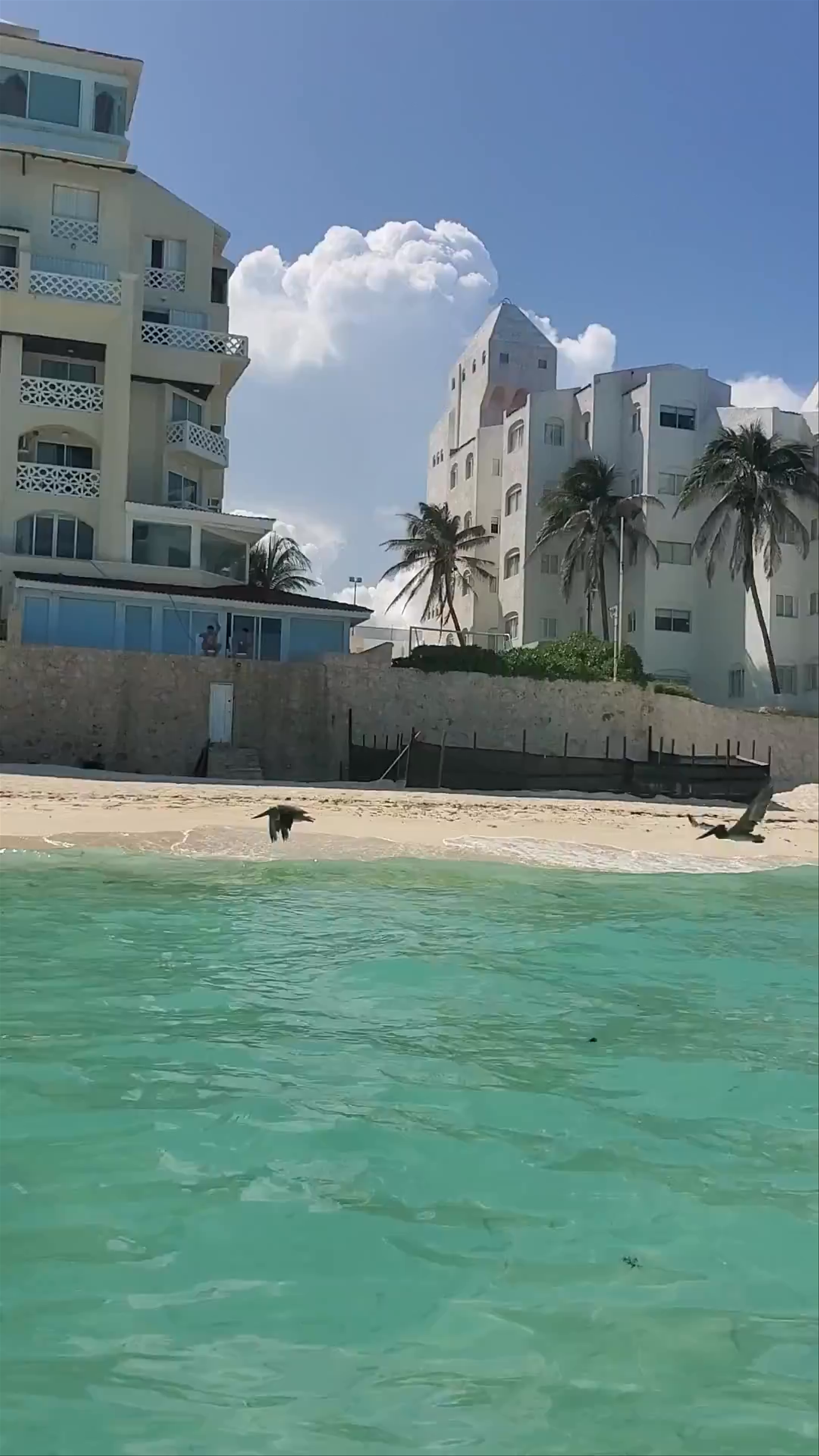 Cancún Beach Escape: Crystal Waters & Vibrant Coastline