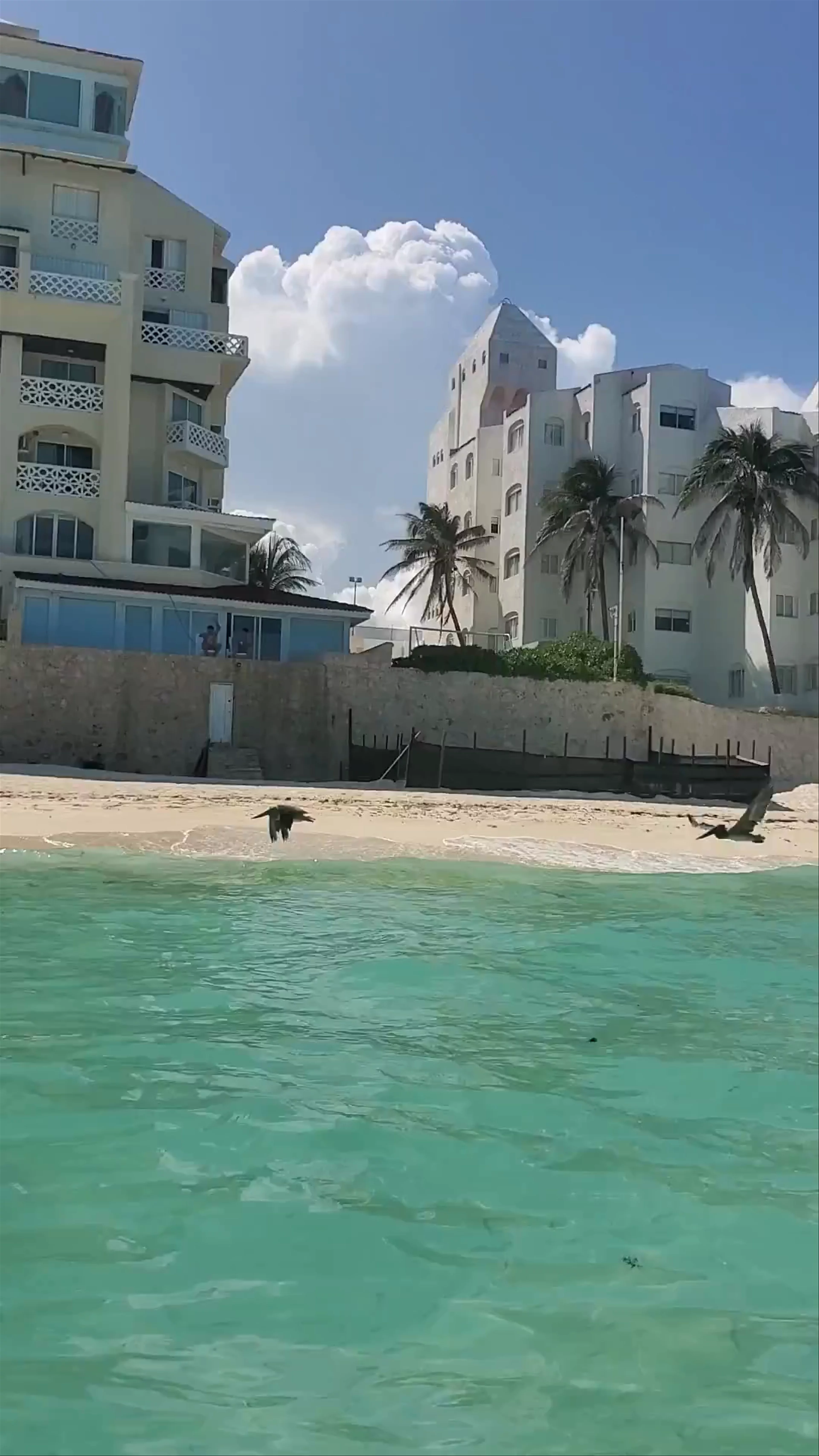 Cancún Beach Escape Condo
