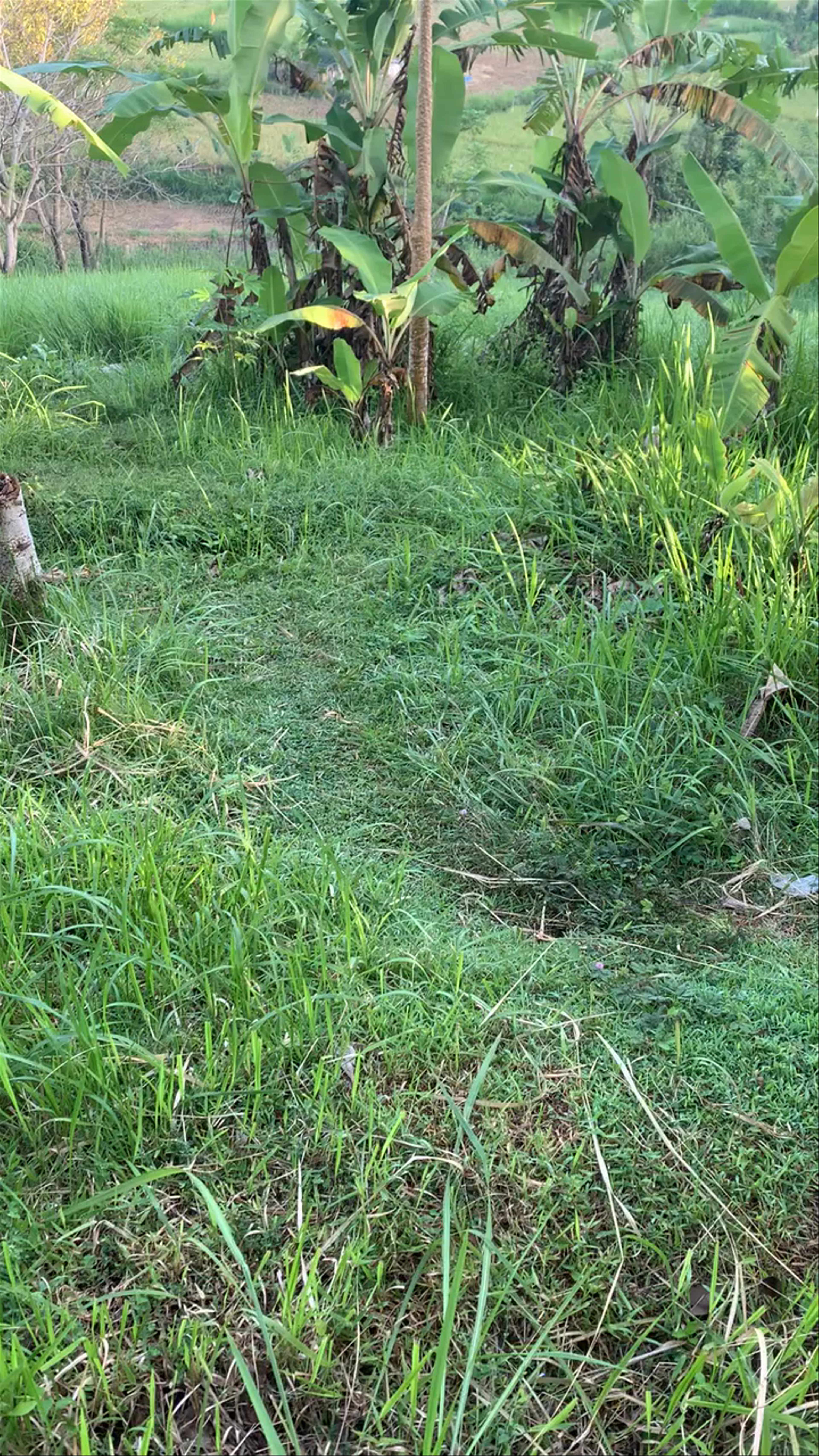 Bukit Cinta Anti Galau