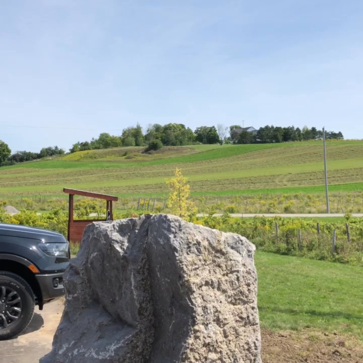 Rolling Grape - Wineries Near Me - Bailieboro, Ontario