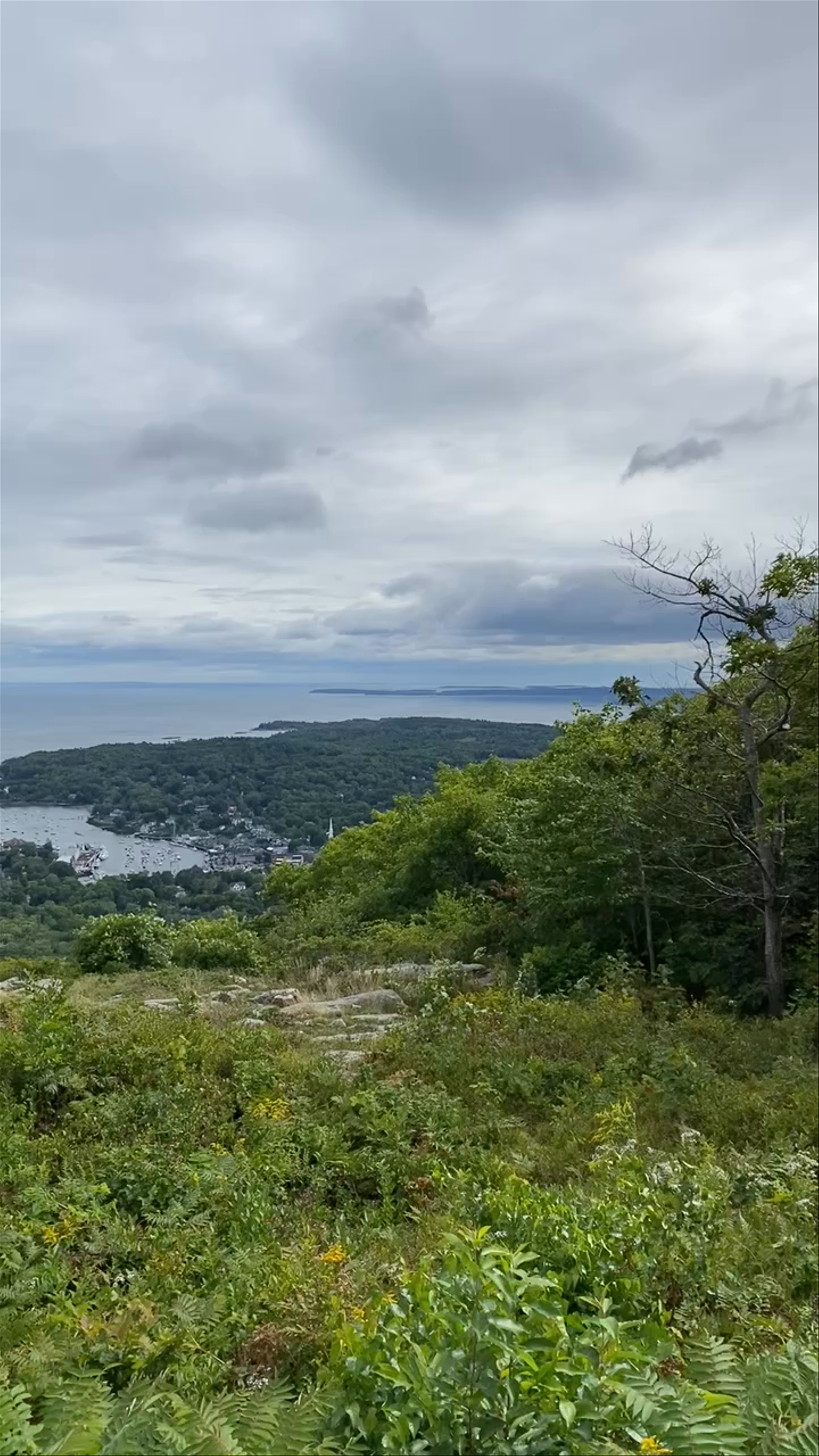 Mount Battie Trail