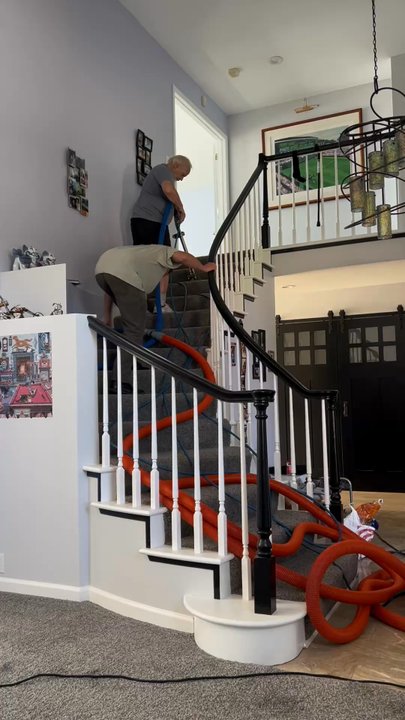 Cleaner Carpets - Carpet Cleaning Near Me - Alameda, California