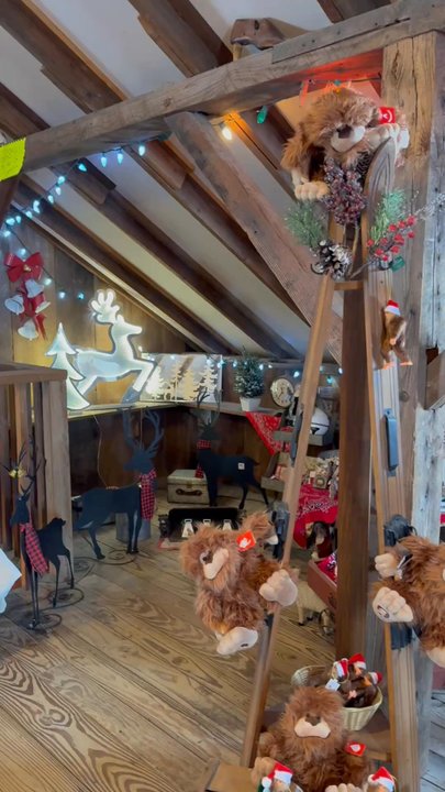 Hardy's Reindeer Ranch - Upstairs decor - Ranches Near Me - Rantoul, Illinois