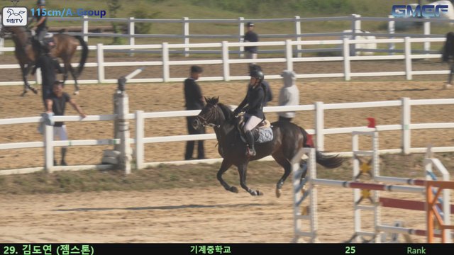 김도연9 (엄지) — 2026 경북오픈 구미 Show Jumping · 장애물 115cm