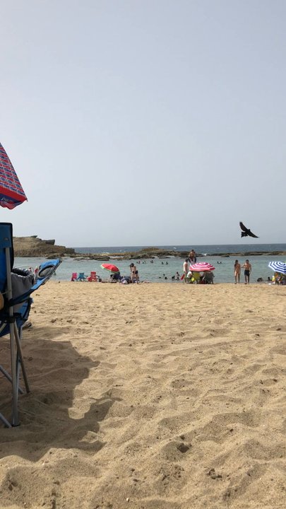 La Playa de Hatillo - Local Flavor Near Me