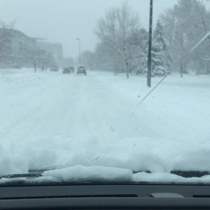 Dazbog Coffee - Rain nor sleet nor snow will stop coffee craving! - Coffee & Tea Near Me - Denver, Colorado