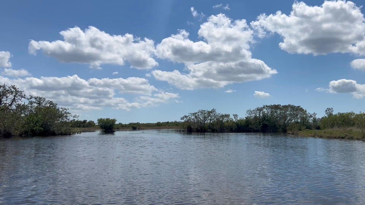 Captain Mitch's Airboat Tours - Ride through the mangroves - Boat Tours Near Me - Naples, Florida
