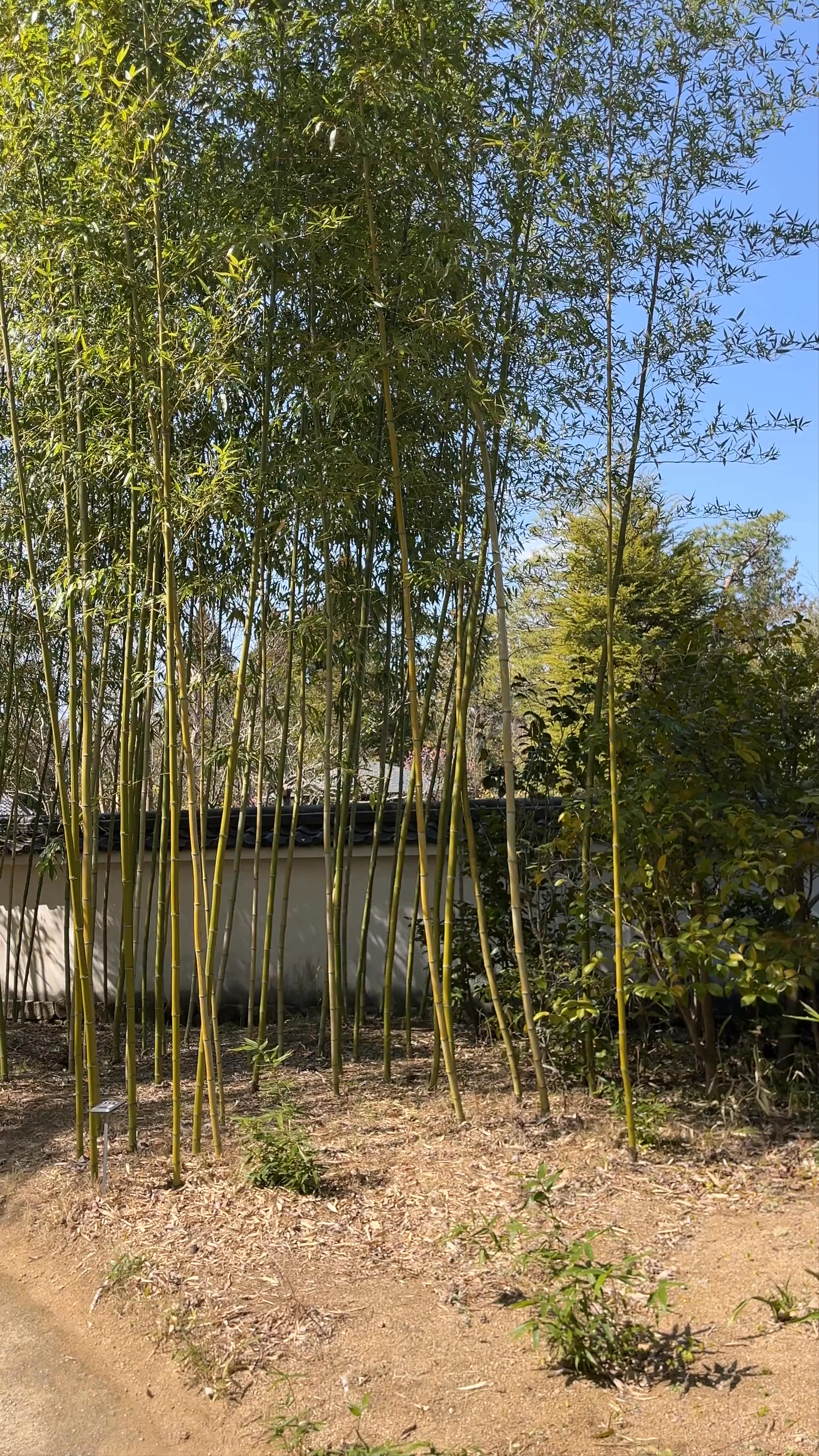 Koko-en Garden