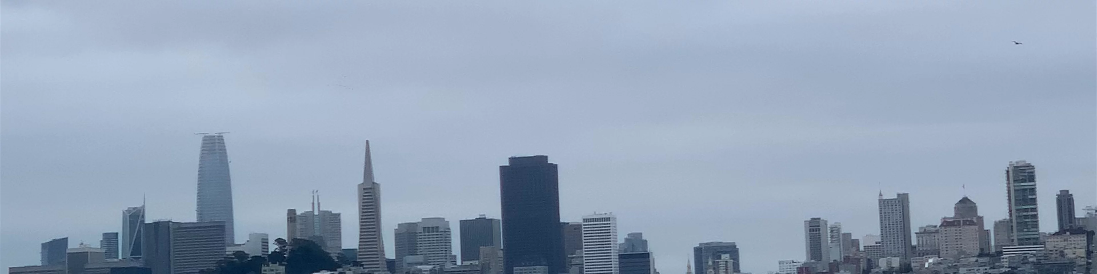 Pier 40