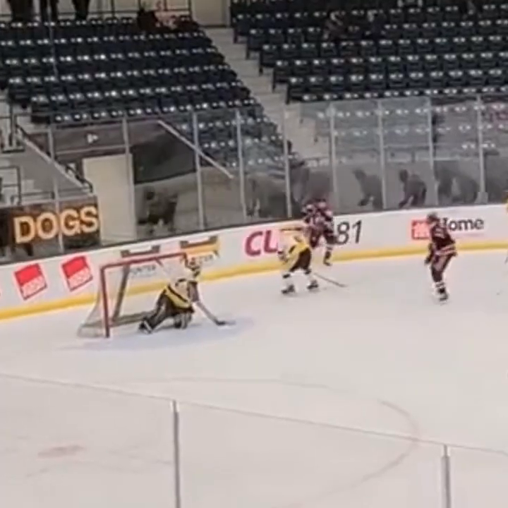 Colton Wallace: 2024/25 Season Highlights | Goals & Physical Mastery