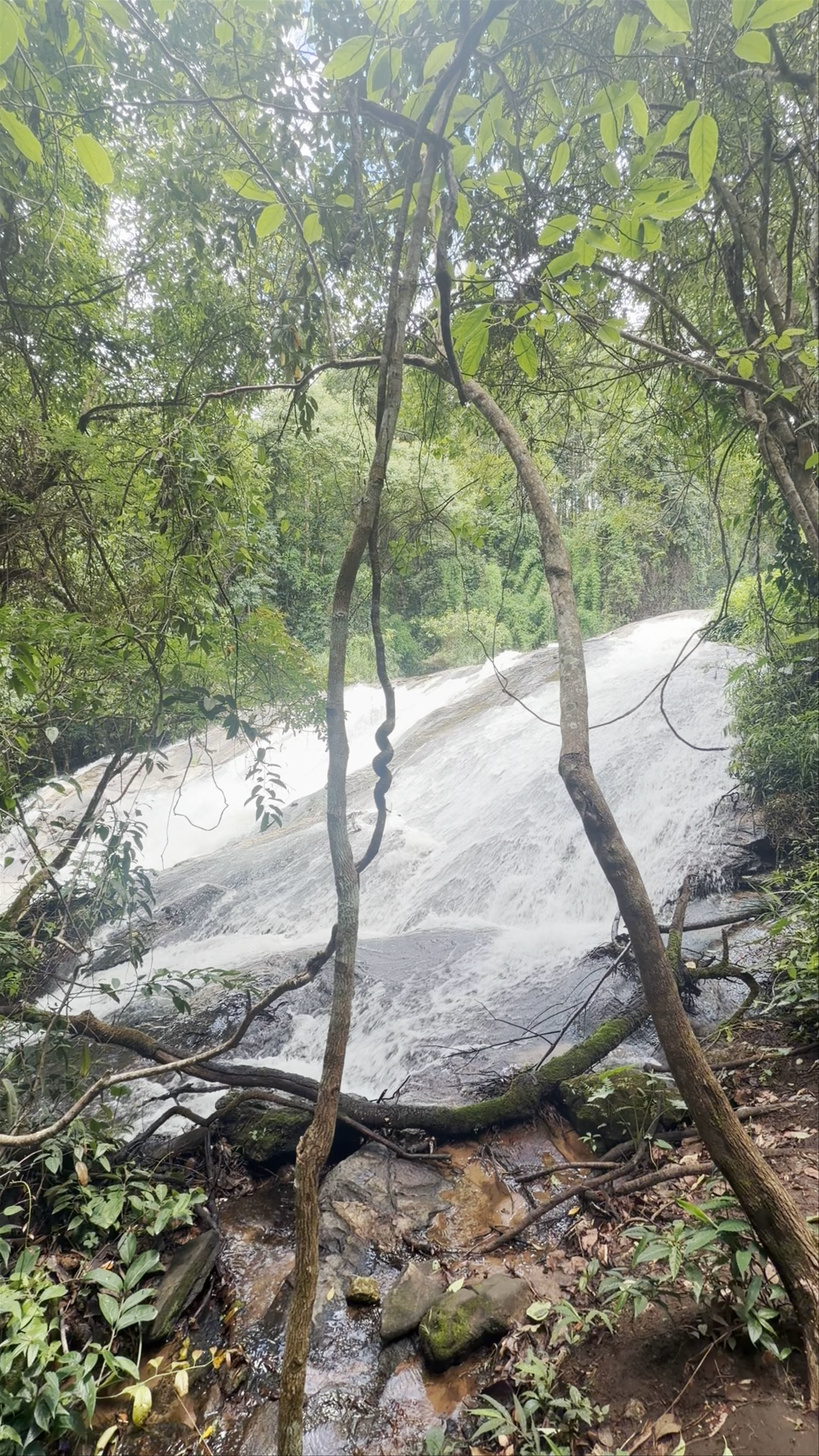 Doi Inthanon