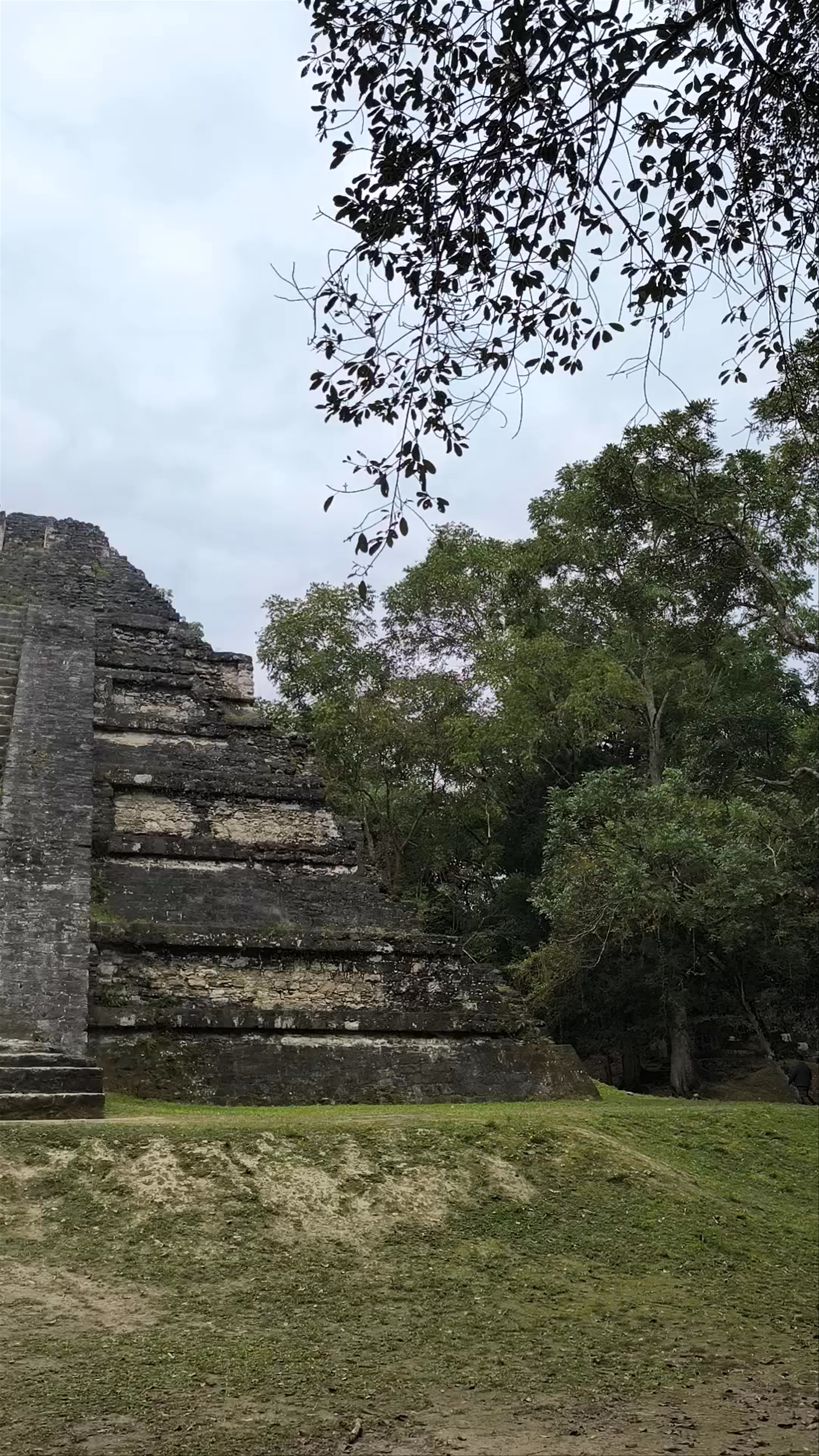 Templo 5C-49