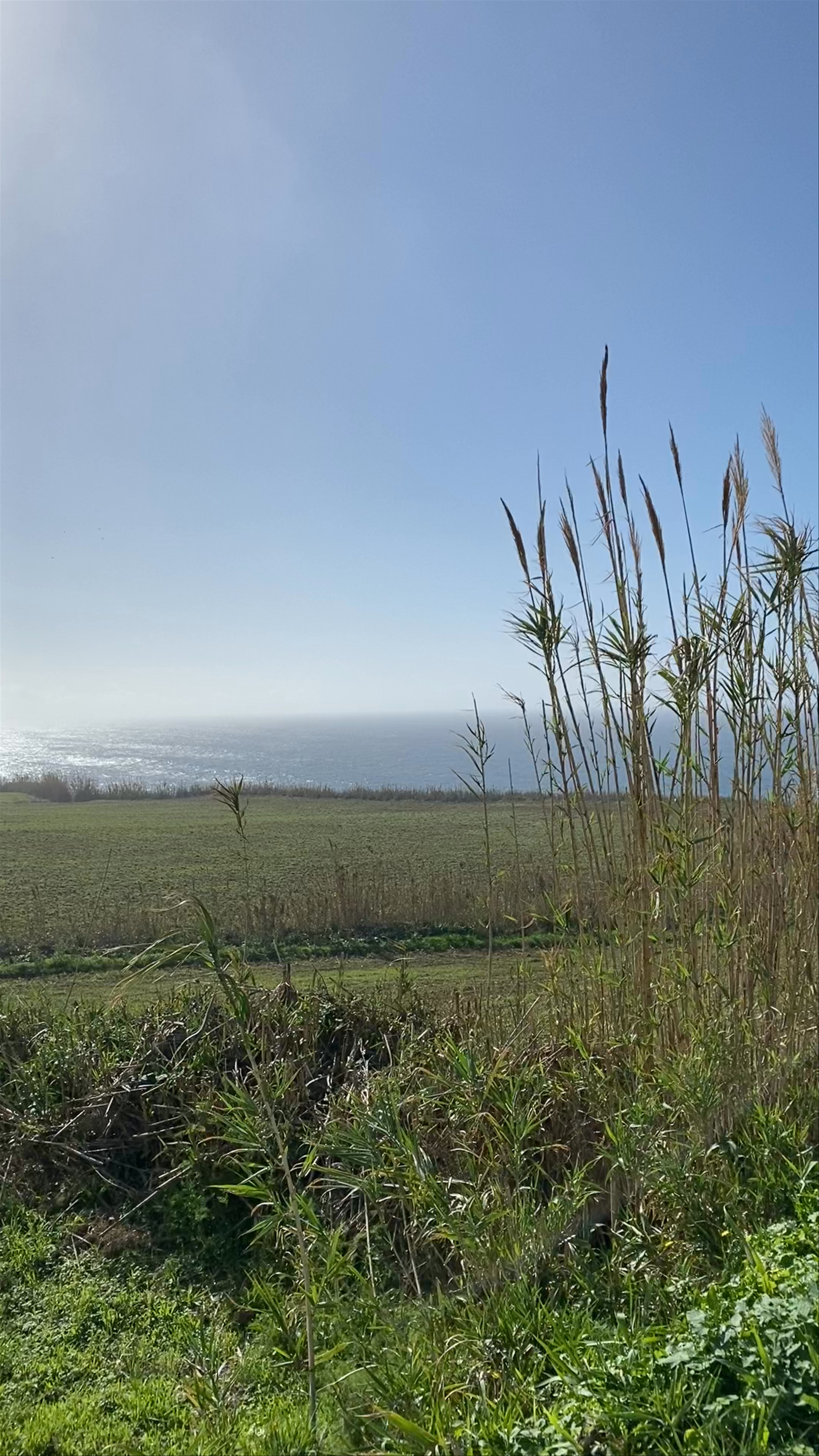 Sunlit Coastal Vistas at Farol da Ferraria, Azores