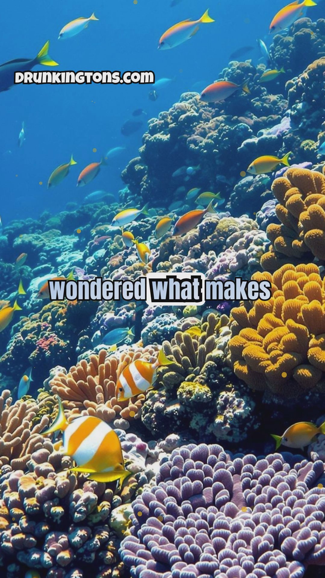 The Breathtaking Complexity of Coral Reefs: Exploring Underwater Biodiversity