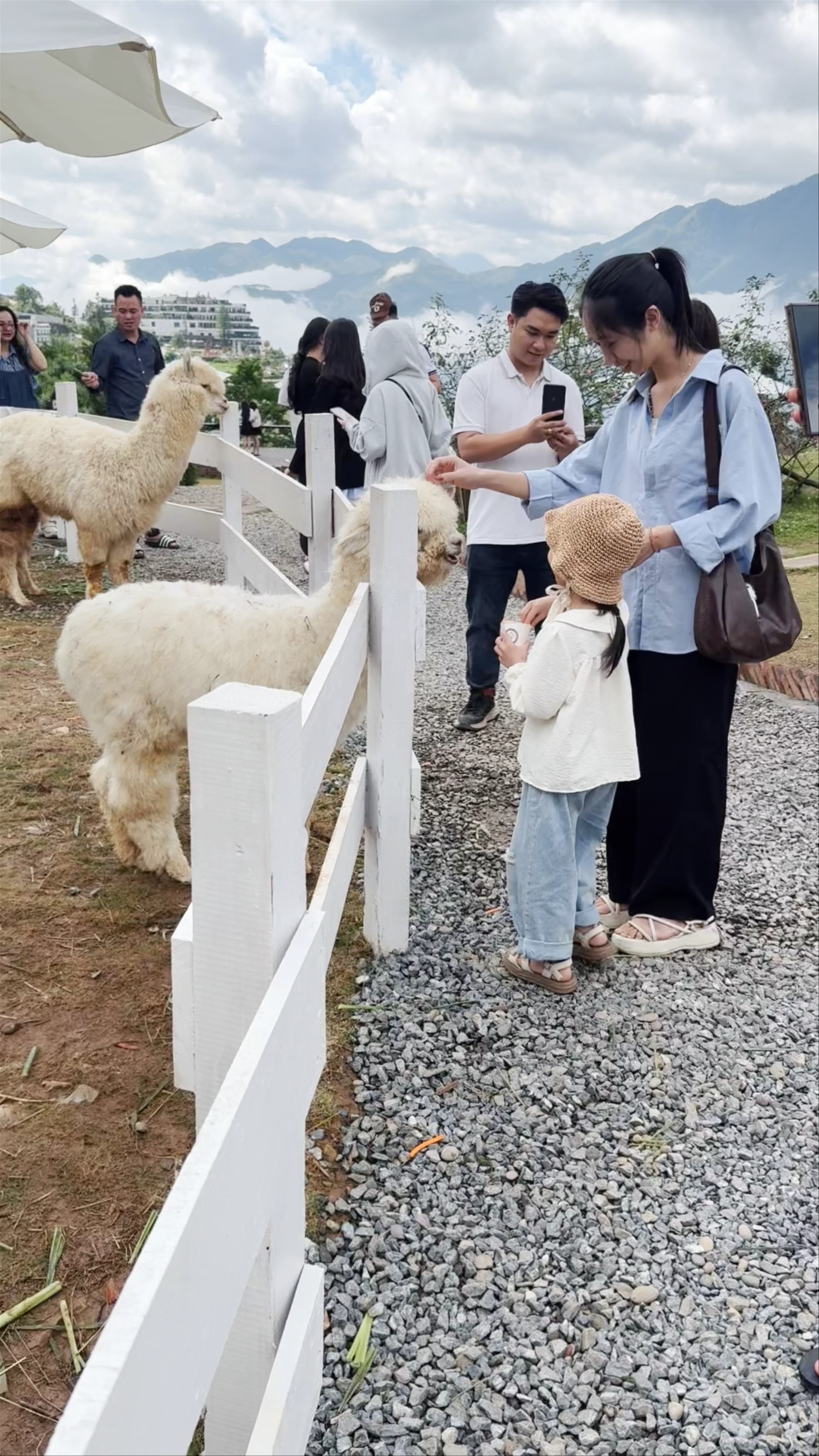 Mật Pet Farm
