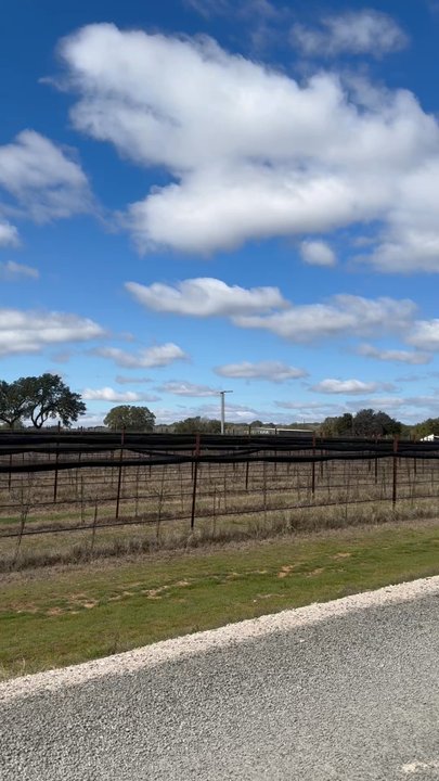 Lost Draw - Wine Tasting Room Near Me - Johnson City, Texas