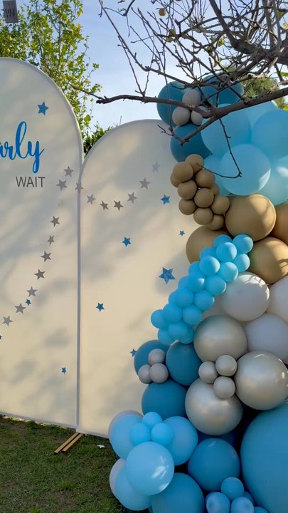 Alina Balloon - Balloon Services Near Me - Van Nuys, California