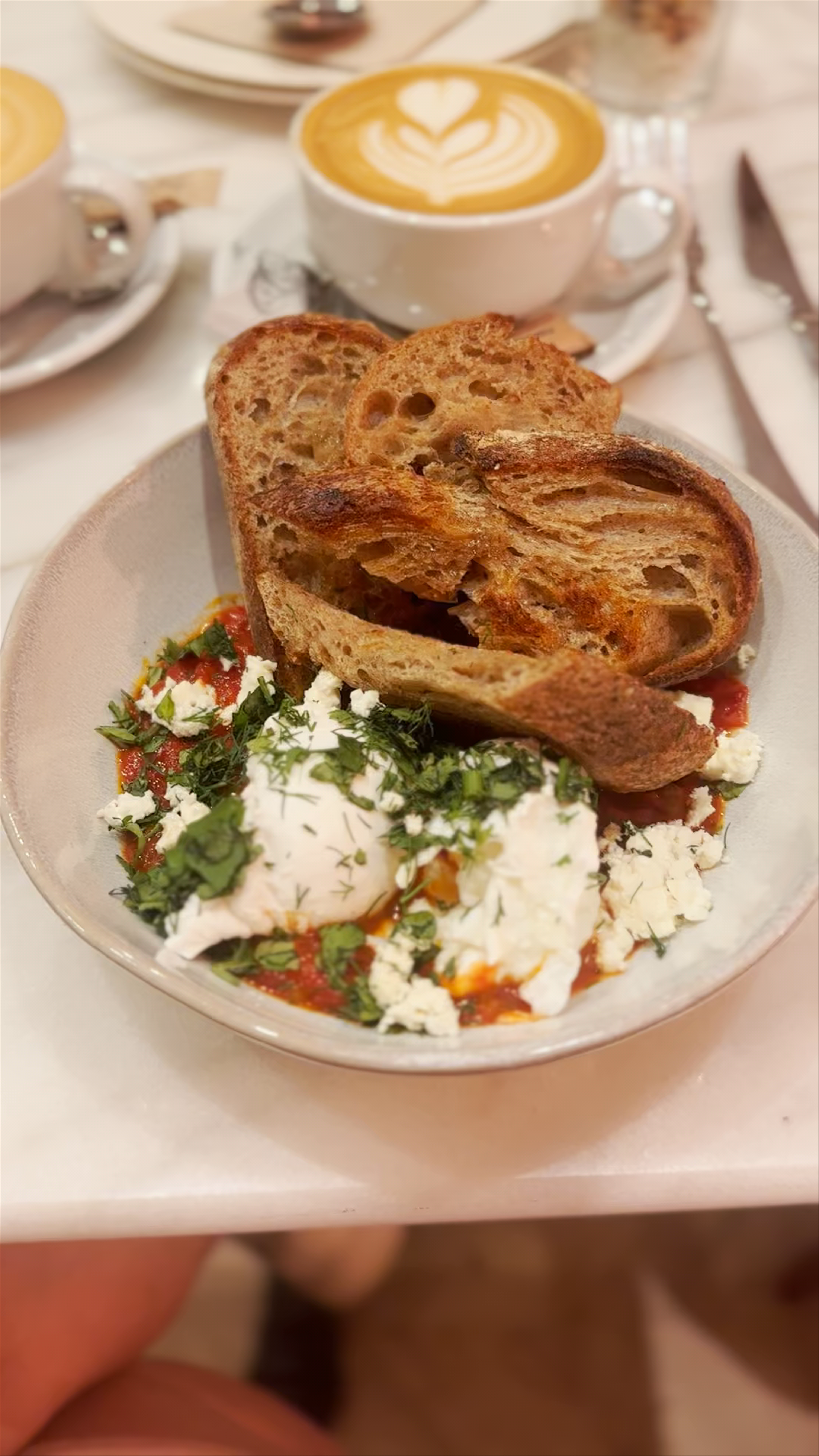 Gourmet Brunch Moments in Barcelona's Brunch and The City