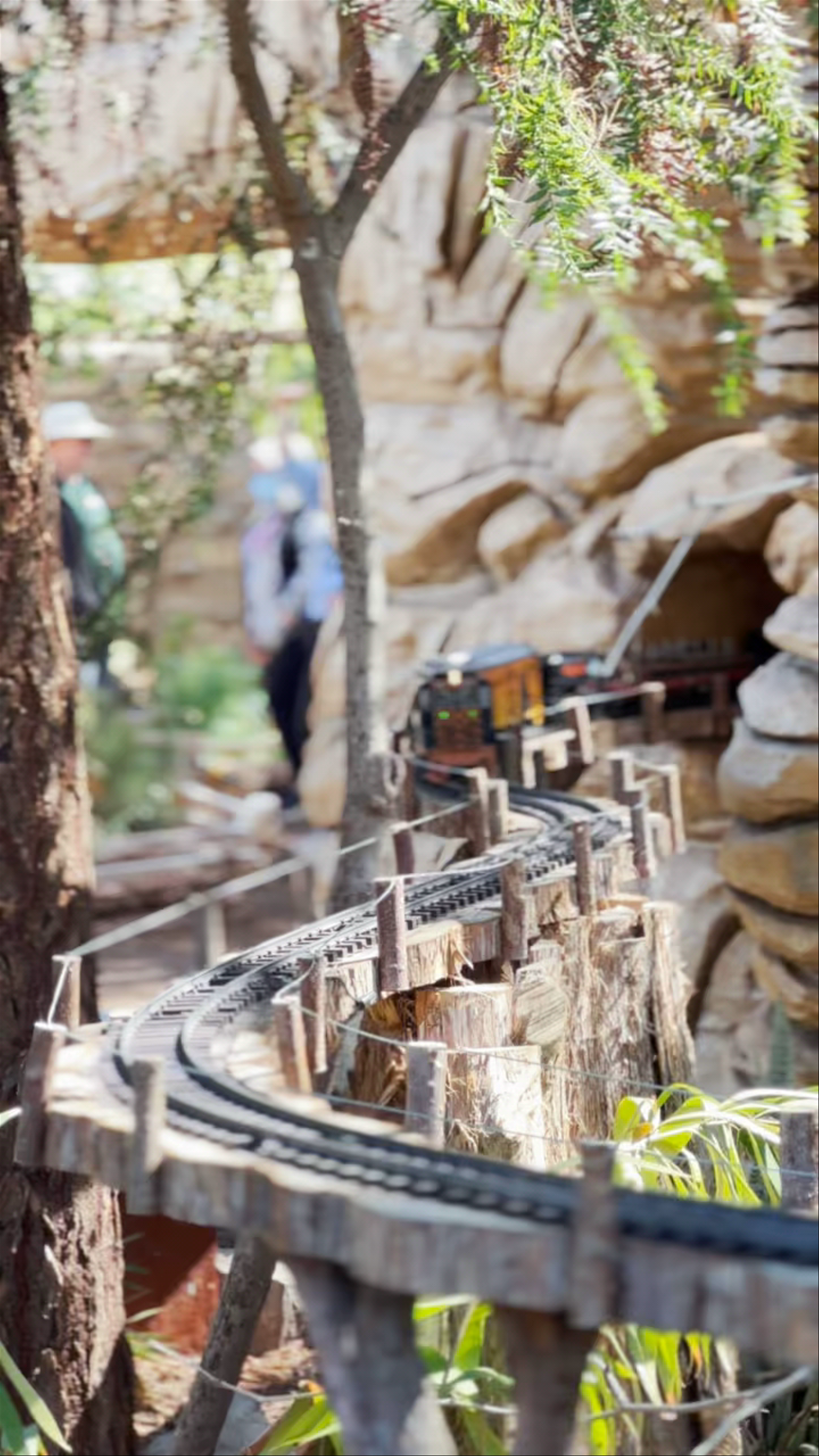 Tucson Botanical Gardens