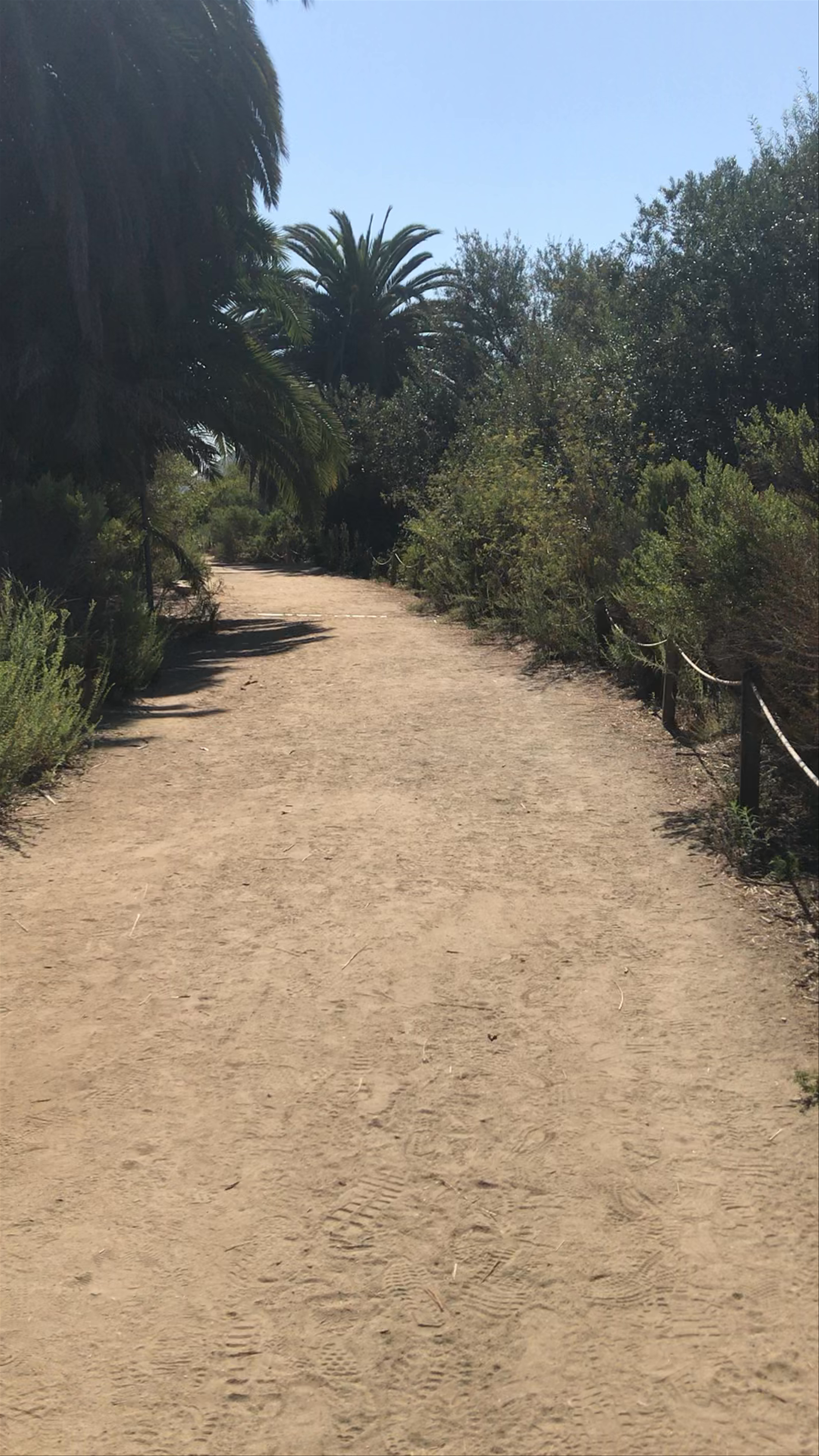 Batiquitos Lagoon Trail
