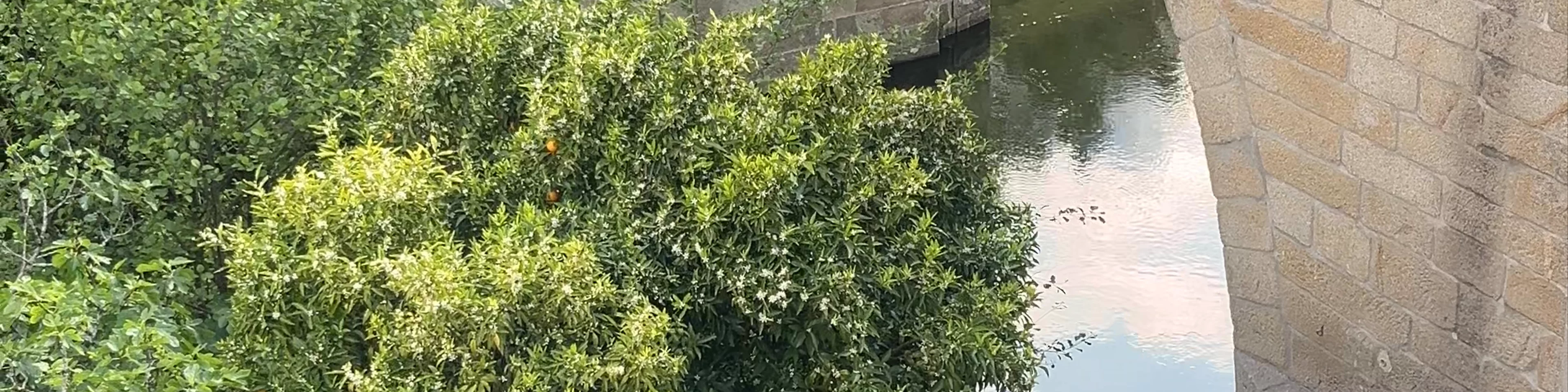 Ponte das Três Entradas