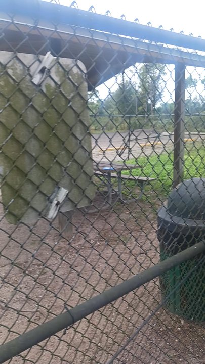 Fay Lake Wilderness Park - Dog Parks Near Me - Cocoa, Florida
