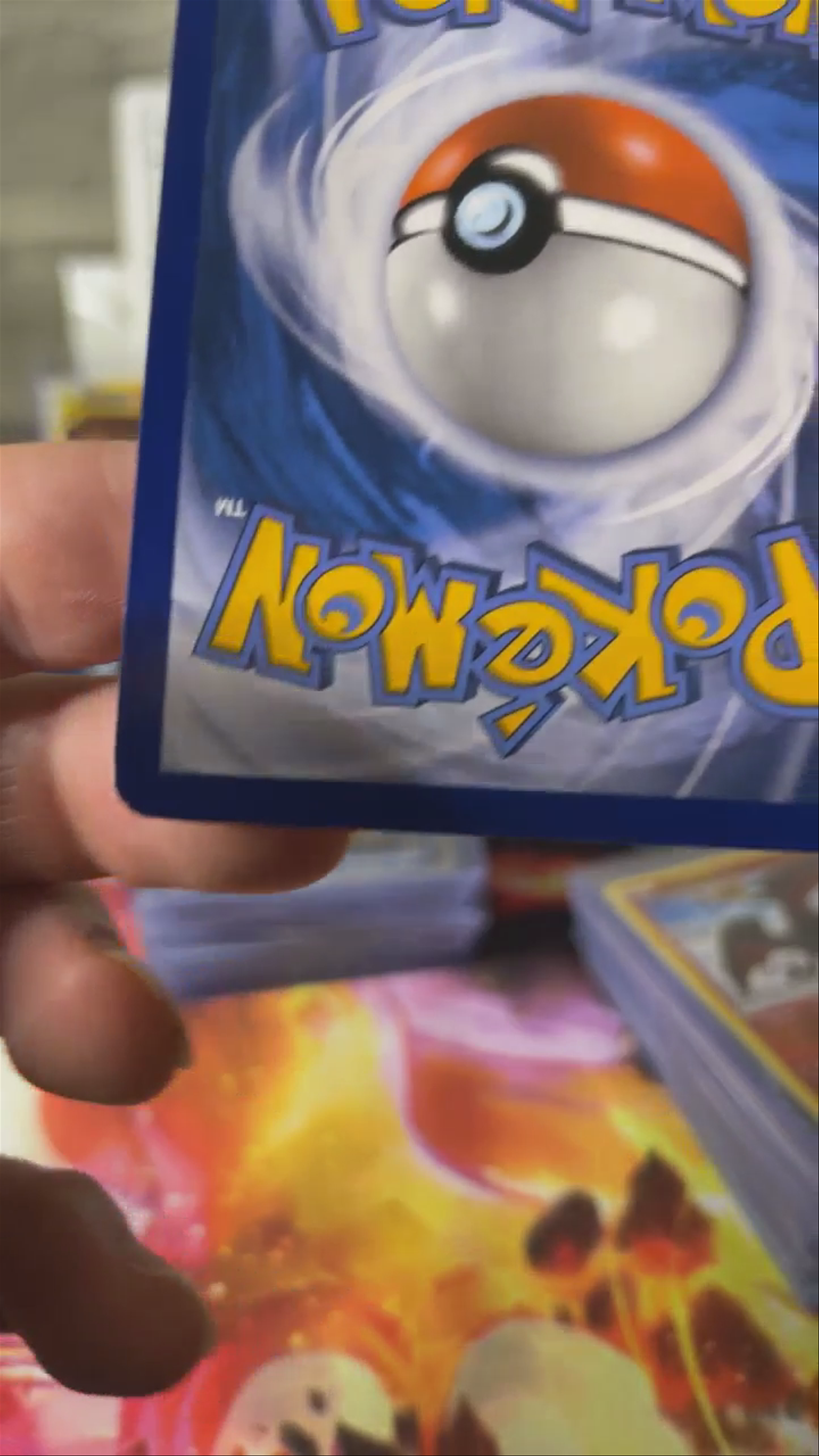 Snow zard 