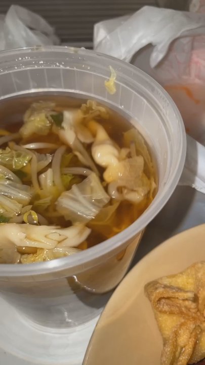 Fortune House - the BEST wonton soup i've ever had - Chinese Near Me - Lansing, Michigan