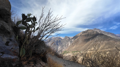 Ce petit coin de paradis