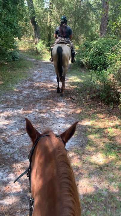 AAA Equestrian - Horseback Riding Near Me - Orlando, Florida