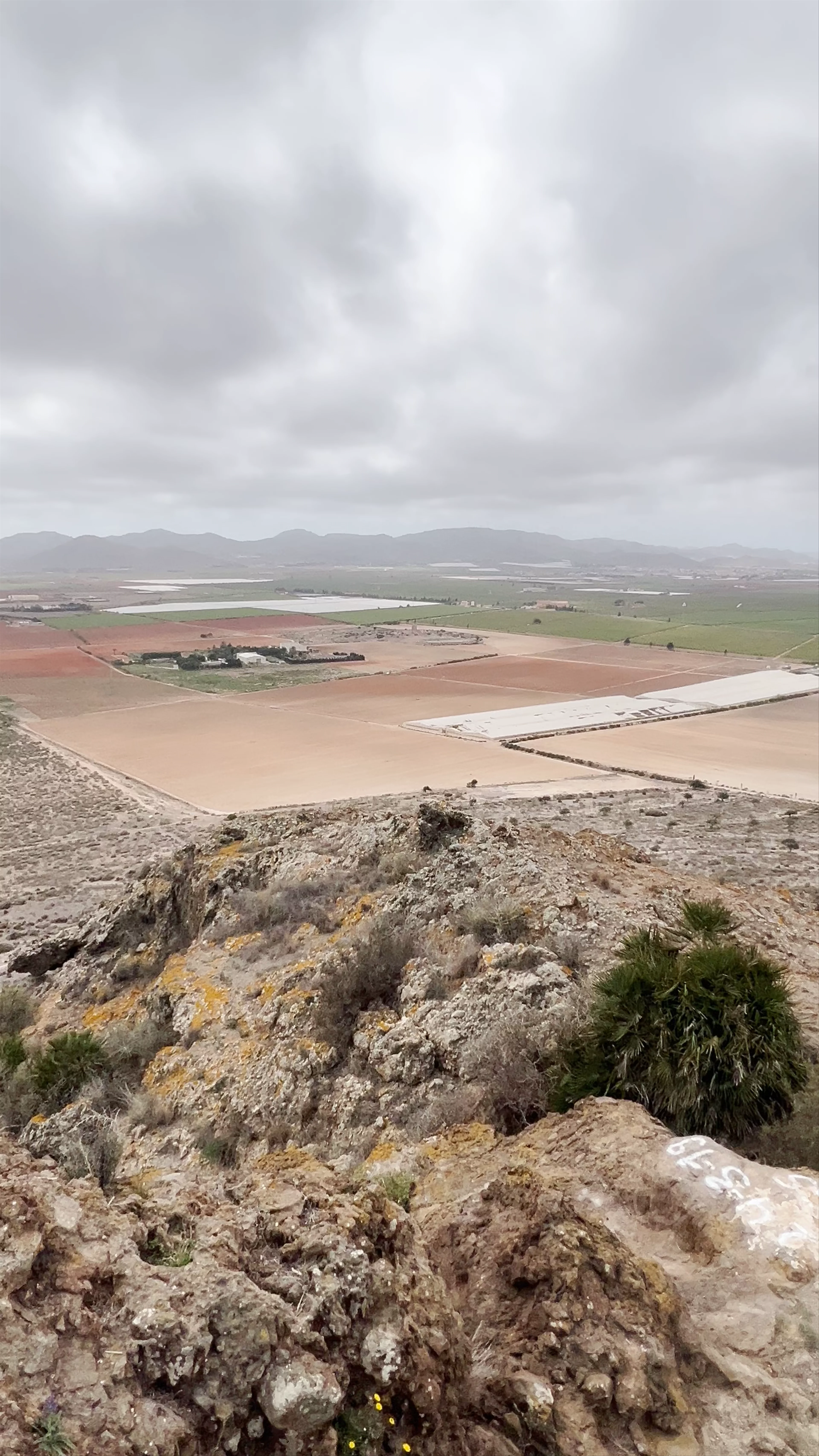 Punto Geodésico Del Carmolí