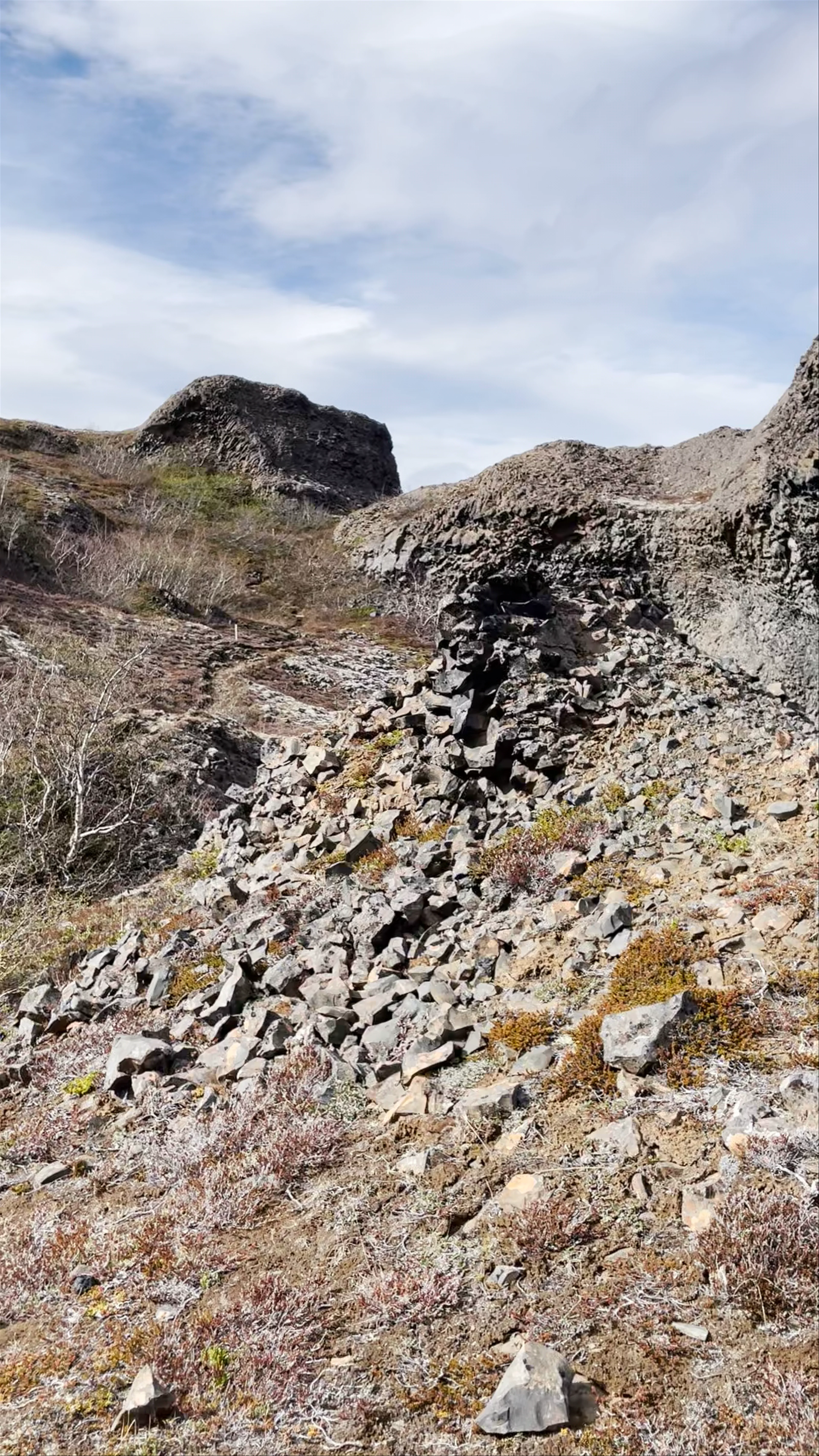 Viewpoint, Dettifossvegur