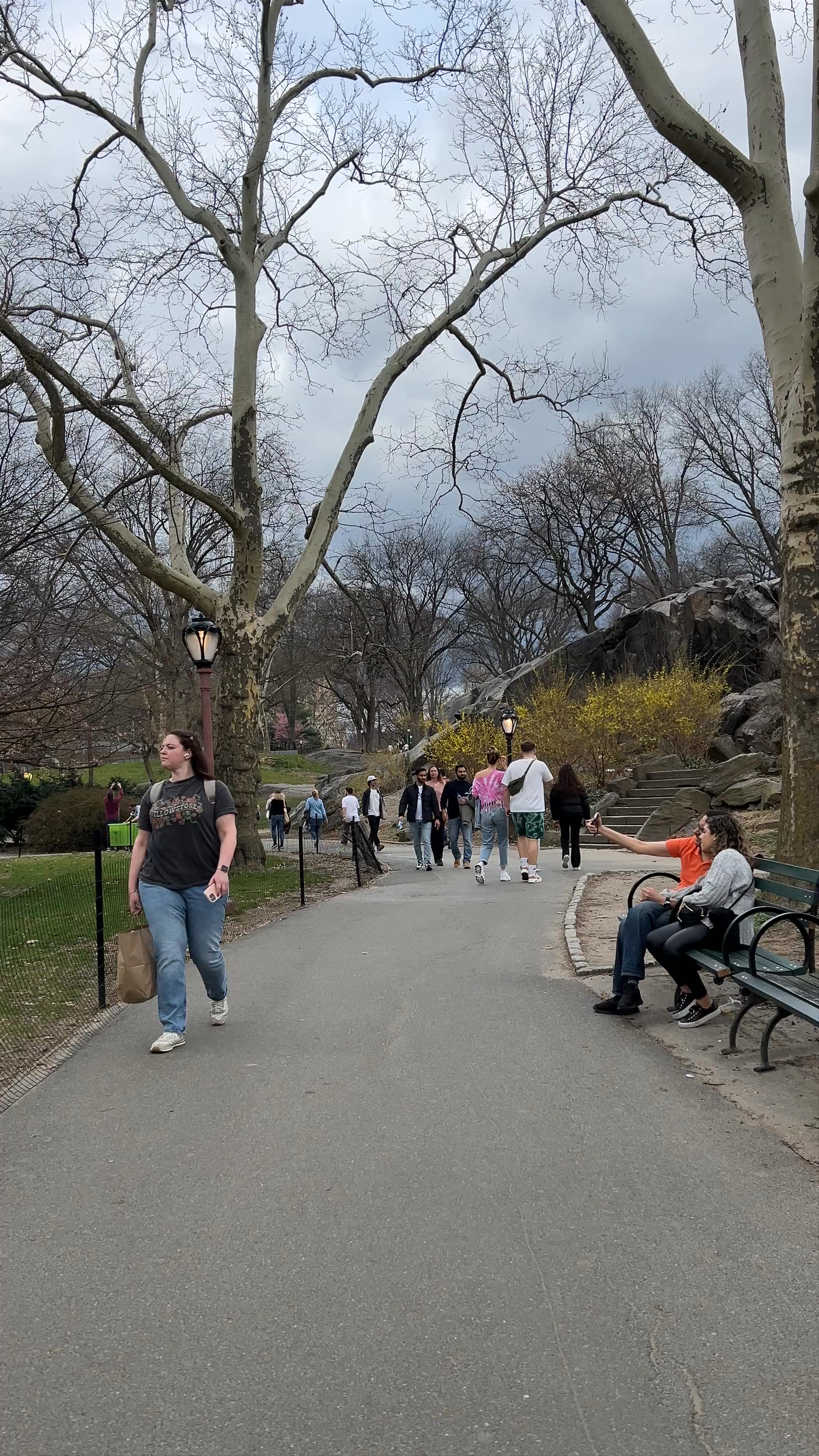 Central Park