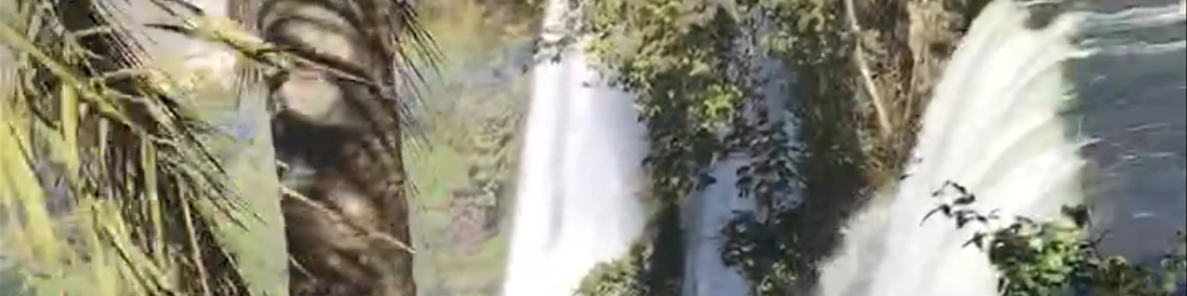 Iguazu Falls