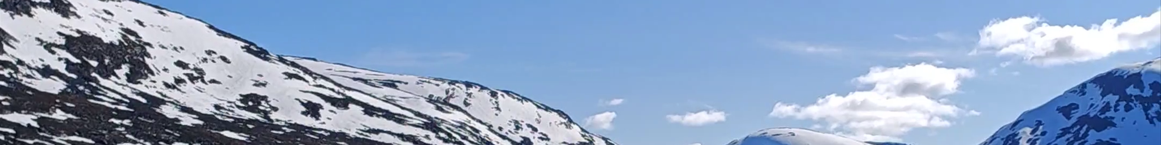 Tours & experiences in Ålesund