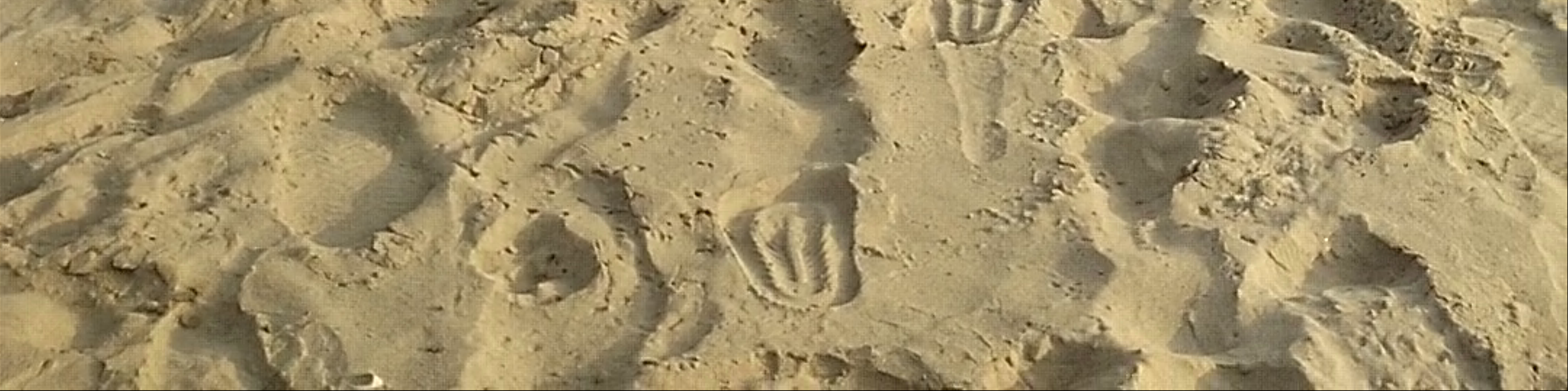 Coral Beach, Khuekkhak